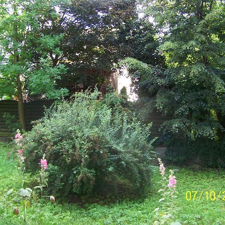 Zielony Apartament, Kielce, Targi, Centrum 외부 사진