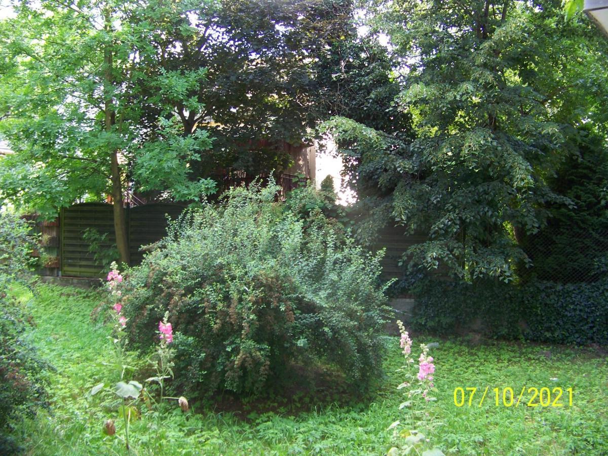 Zielony Apartament, Kielce, Targi, Centrum 외부 사진